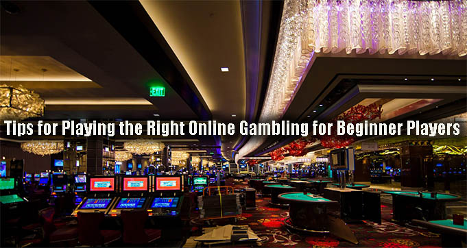 Tips for Playing the Right Online Gambling for Beginner Players